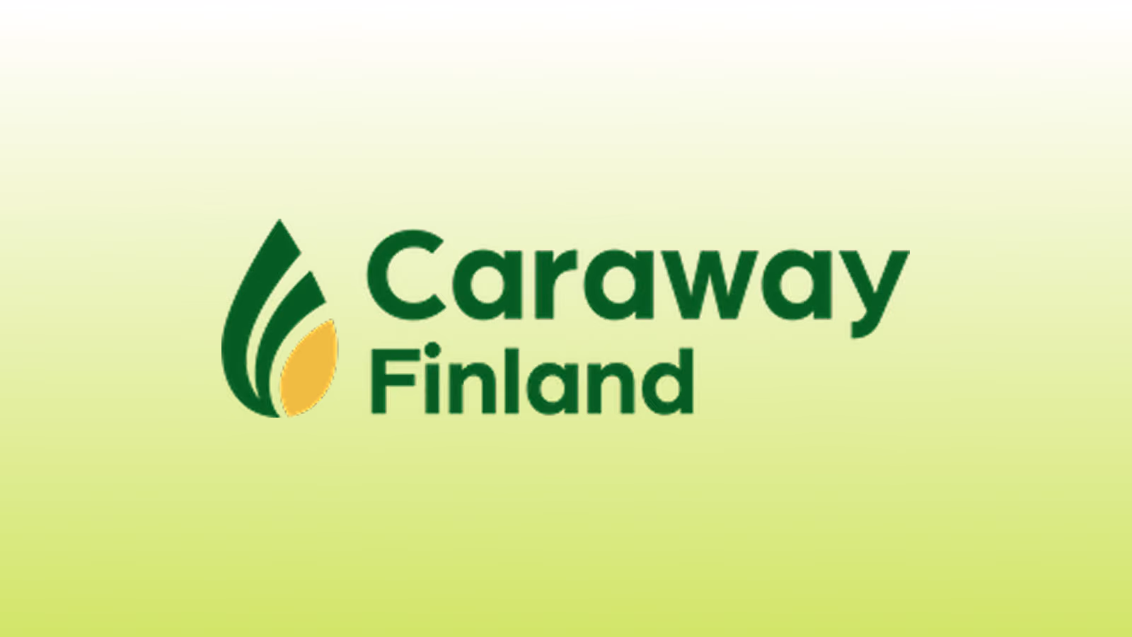 Caraway